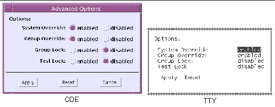 Screenshots of both the SunVTS CDE and TTY Advanced Options dialog boxes.
