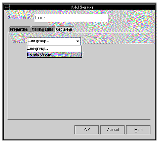 Screen capture of the Add Server window showing the Grouping options.