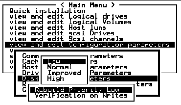 Screen capture showing submenus with "Rebuild Priority Low" and "Low" chosen.