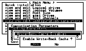 Screen capture showing a submenu with Enable Write-Back Cache?" prompt displayed.