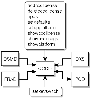 Figure depicting CODD server client relationships. 
