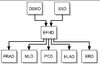 Figure depicting EFHD client server relationships. 