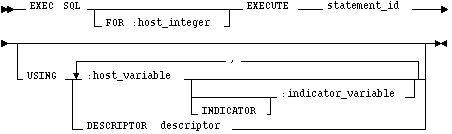 Syntax diagram: EXECUTE