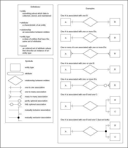Rules for Drawing an E-R Diagram