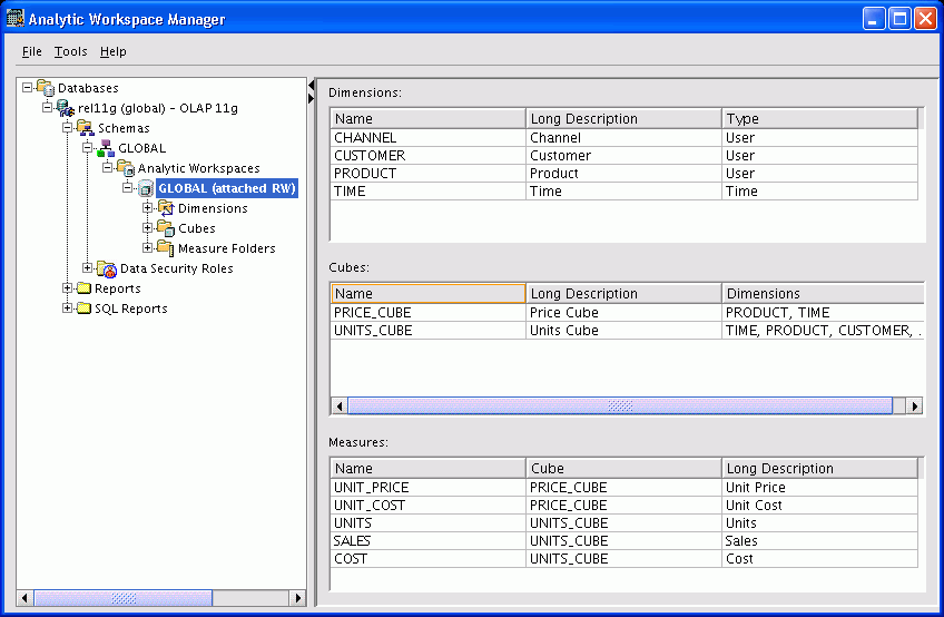Main window in Analytic Workspace Manager