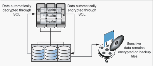 Encrypted Data and Oracle Database Vault